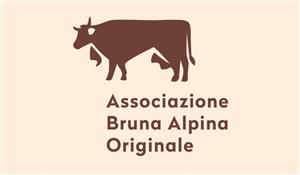 logo-associazione-bruna-alpina-originale-300-175